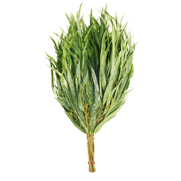 Веник эвкалиптовый БАННЫЕ ШТУЧКИ 3691 Веник эвкалиптовый БАННЫЕ ШТУЧКИ 3691